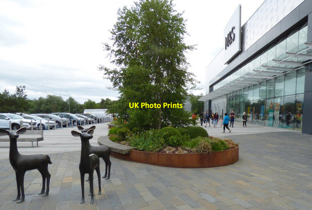 Photo 6"x4" Deer sculpture at Glasgow Fort shopping centre Garthamlock c2018 P2