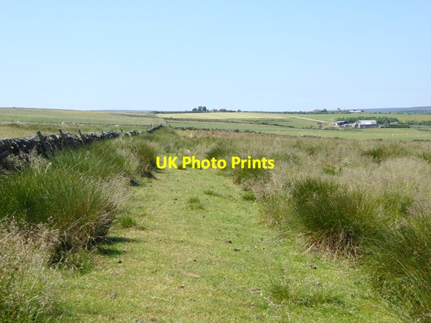 Photo 6"x4" Bridleway near Crakescar Cottage Woodland\/NZ0726 c2018