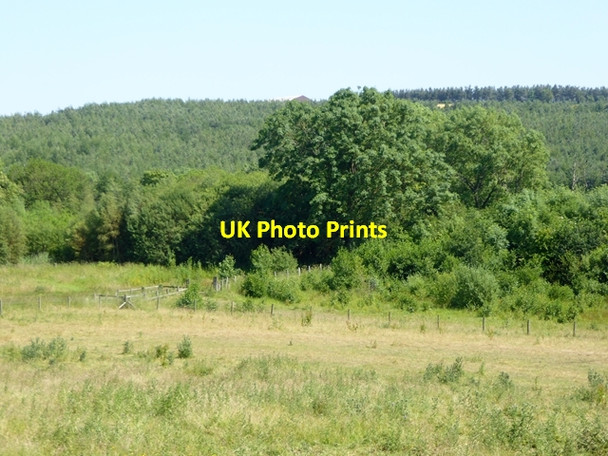 Photo 6"x4" Nature Reserve on the River Gaunless Evenwood\/NZ1525 c2018