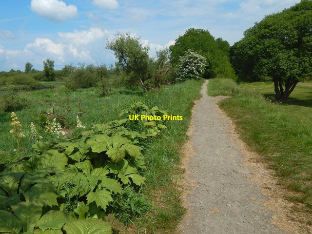 Photo 6"x4" Path beside the golf course Dumbarton c2018