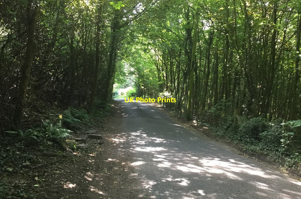 Photo 6"x4" Chilling Street near Wickenden Manor Sharpthorne c2018