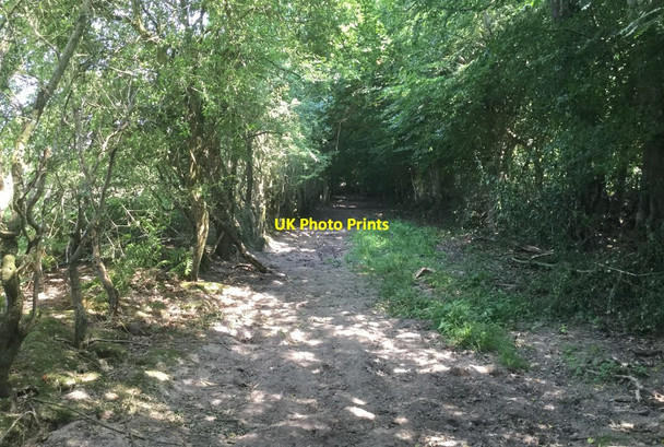 Photo 6"x4" Bridleway heading towards Plawhatch Lane Sharpthorne c2018