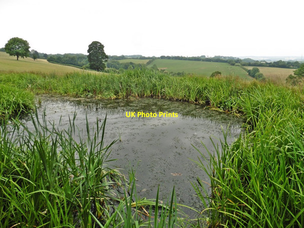 Photo 6"x4" Pond on Great Chawl Moor Oakfordbridge c2018