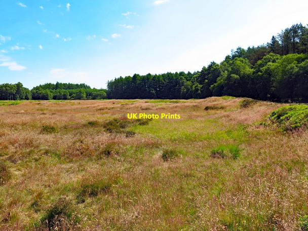 Photo 6"x4" Cawthorn Roman Camp Cawthorne\/SE7789 c2018