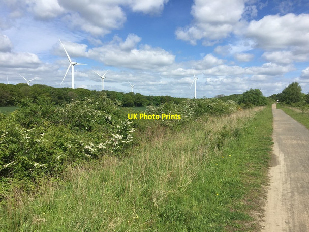Photo 6"x4" Wind Turbines, Castle Eden Walkway Embleton\/NZ4129 c2017