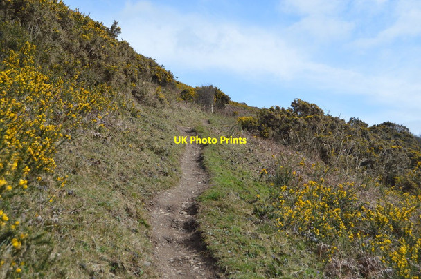 Photo 6"x4" South West Coast Path, Lansallos Cliffs Lansallos c2018