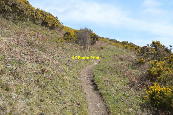 Photo 6"x4" South West Coast Path, Lansallos Cliffs Lansallos c2018 P1