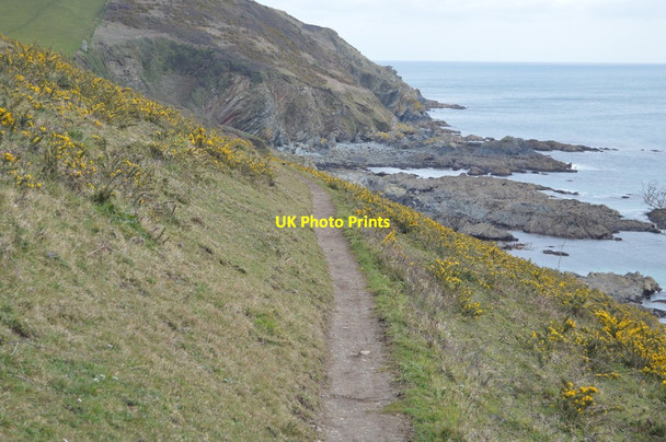 Photo 6"x4" South West Coast Path, Lansallos Cliffs Lansallos c2018