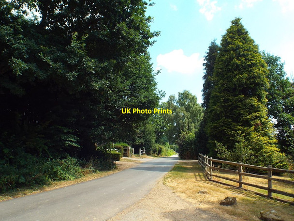 Photo 6"x4" Brambletye Lane, near Forest Row Ashurst Wood\/TQ4136 c2018