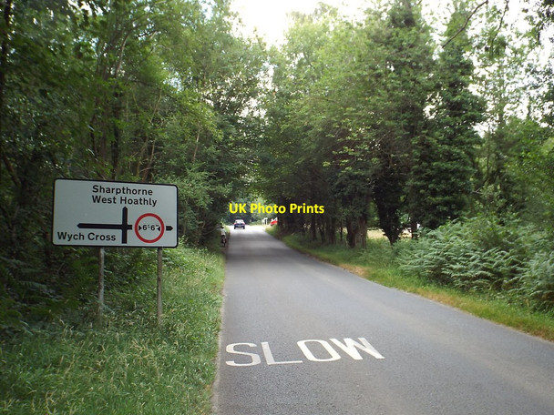 Photo 6"x4" Priory Road, Ashdown Forest Wych Cross c2018