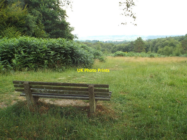Photo 6"x4" Bench with a view, Ashdown Forest Wych Cross c2018