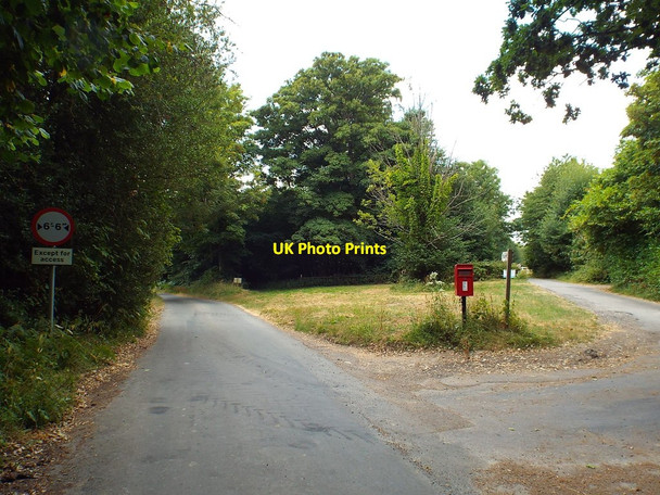 Photo 6"x4" Twyford Lane, Ashdown Forest Wych Cross c2018