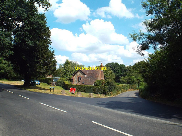 Photo 6"x4" New Road, Ashdown Forest Duddleswell c2018