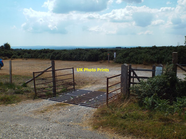 Photo 6"x4" Waterholes car park, Ashdown Forest Duddleswell c2018