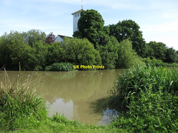 Photo 6"x4" Pond on Ditton Common by All Saint's Church Esher c2018