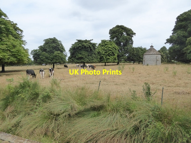 Photo 6"x4" Dovecote and meadow at Lytes Cary Manor Cary Fitzpaine c2018