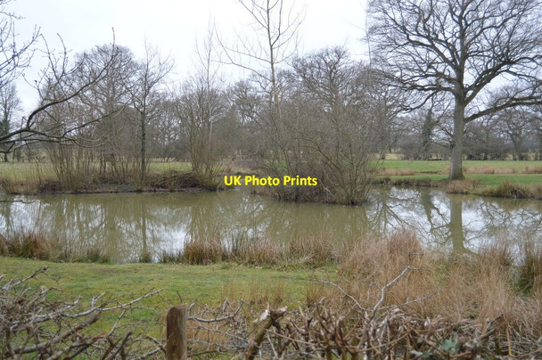 Photo 6"x4" Pond by Bletchenden Rd Waterman Quarter c2018