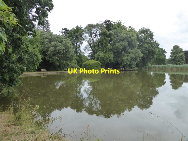 Photo 6"x4" Great Pond, Forde Abbey Chard Junction c2018