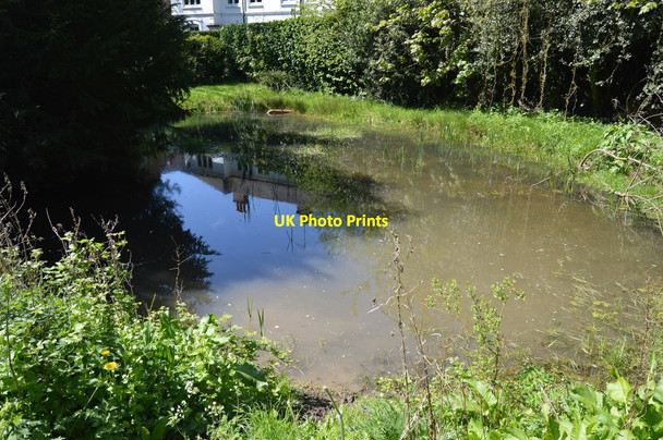 Photo 6"x4" Small pond on Tunbridge Wells Common Royal Tunbridge Wells c2018