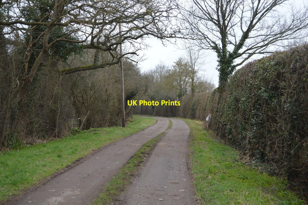 Photo 6"x4" Bridleway to Curtis Farm Waterman Quarter c2018