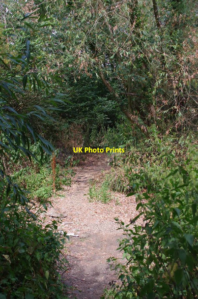Photo 6"x4" Dry Ford Near London Colney Broad Colney c2018