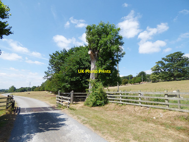 Photo 6"x4" Cattle Grid, Craken House Harmby c2018