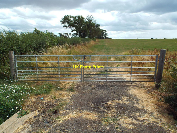 Photo 6"x4" Gate and field near Hannington, Northampton Hannington\/SP8171 c2018