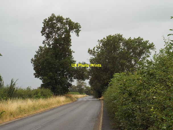 Photo 6"x4" Braybrooke Road, near Market Harborough Market Harborough c2018
