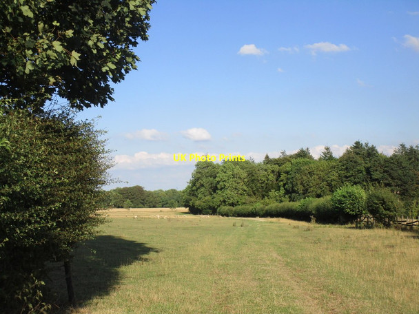 Photo 6"x4" Bridleway through Becca Park Potterton\/SE4038 c2018
