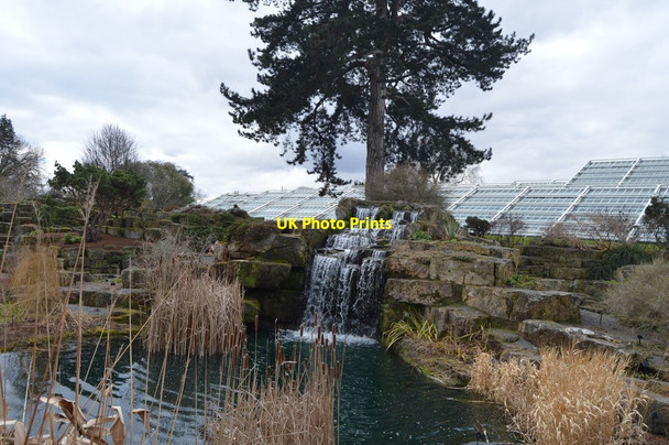 Photo 6"x4" Waterfall, Kew Gardens Brentford c2018