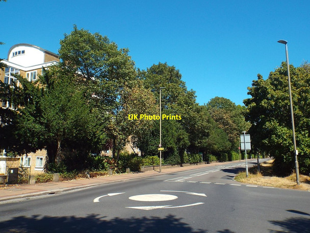 Photo 6"x4" Putney Heath Putney c2018