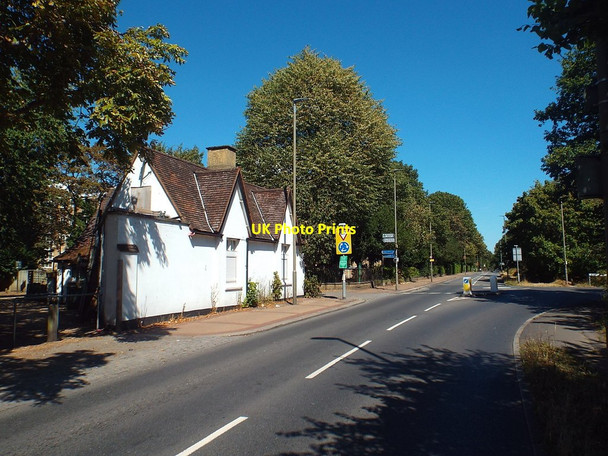 Photo 6"x4" Putney Heath Putney c2018 P1