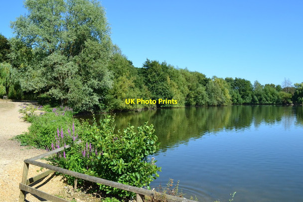Photo 6"x4" Lakeside at the Nature Discovery Centre Thatcham c2018