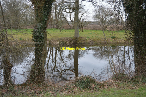 Photo 6"x4" Pond at Ponds Farm Buckhurst c2018