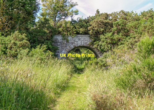 Photo 6"x4" Path from Blairdhu to Drynie Park Drynie Park c2018