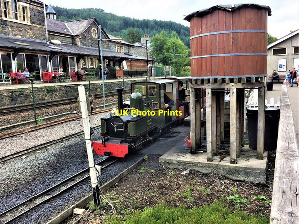 Photo 6"x4" Elsi at Betws-y-Coed Betws-y-Coed c2018