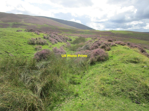Photo 6"x4" Northern ramparts of Fallburn Fort Thankerton c2018
