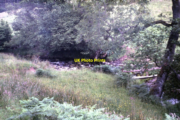 Photo 6"x4" Bridge to Llwyn-y-celyn YHA - Libanus, Powys Libanus c1981