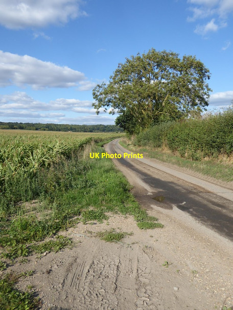 Photo 6"x4" Lane leading north-east from Bucklebury ford Bucklebury c2018