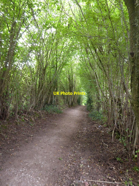 Photo 6"x4" Downhill from Fickleshole Fickleshole c2018