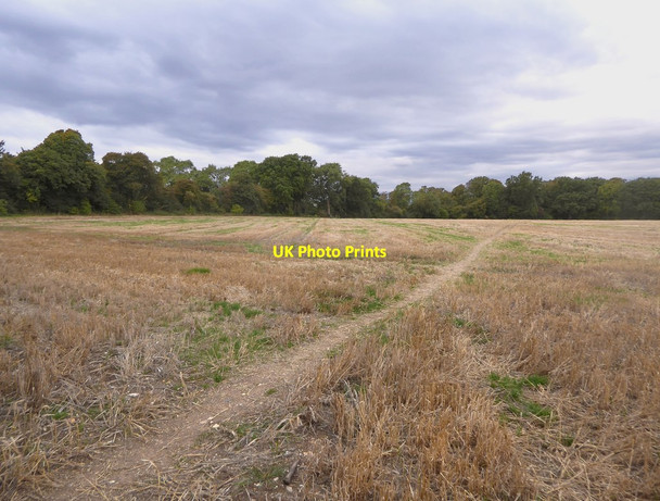 Photo 6"x4" Farmland west of Downe Downe\/TQ4361 c2018