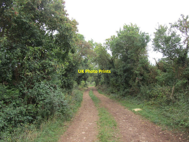 Photo 6"x4" Bridleway to Morton Spirit Farm Knighton\/SP0356 c2018