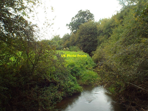 Photo 6"x4" River Eden near Penshurst Salmans c2018