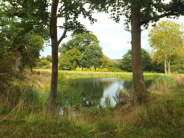 Photo 6"x4" Pond near Chiddingstone Weller's Town c2018