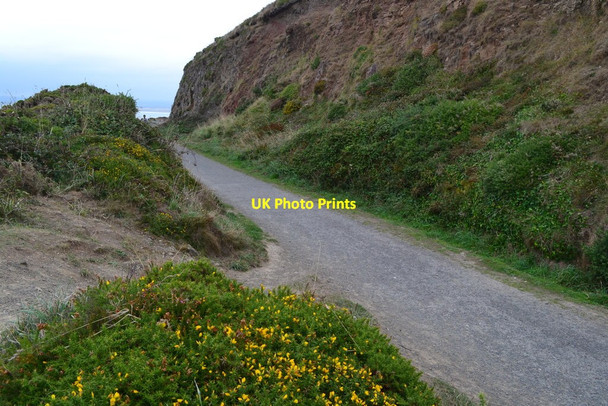 Photo 6"x4" Coast path in former railway cutting Rickard's Down c2018