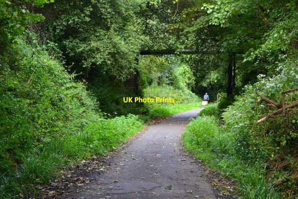 Photo 6"x4" Disused railway cutting through Instow Instow c2018