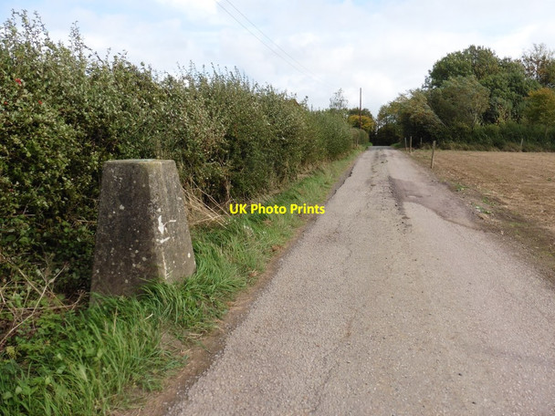 Photo 6"x4" Trig Point at Marvel Farm Lewcombe c2018