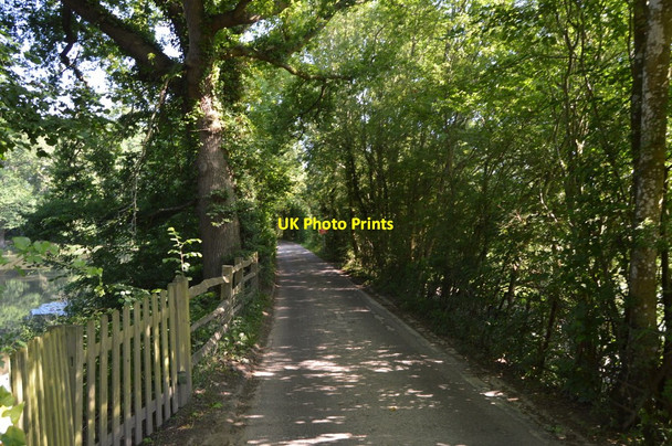 Photo 6"x4" Road past Kiln Pond Ardingly c2018