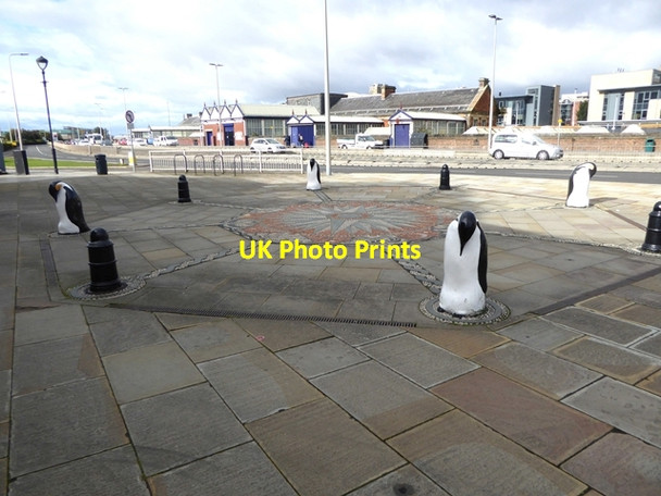 Photo 6"x4" Penguins at Discovery Point Newport-on-Tay c2018
