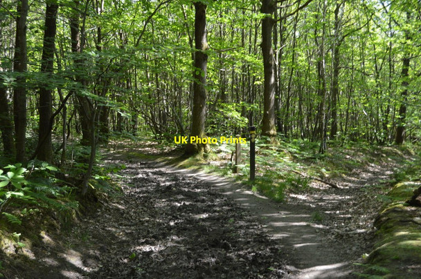 Photo 6"x4" Bridleway junction Lower Green\/TQ6241 c2018